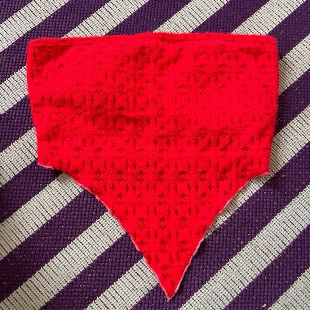 Fashion Brand Company Red Stretchy Lace Bandeau